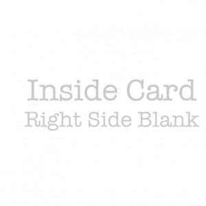 Alpine Descent Colour Bicycle Greeting Card by Andrew Pavitt