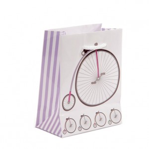 Small Bicycle Gift Bag
