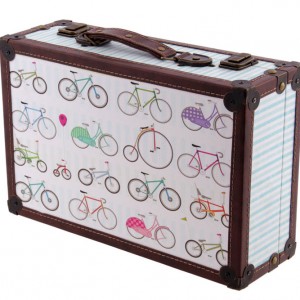 Set of Two Bicycle Cases