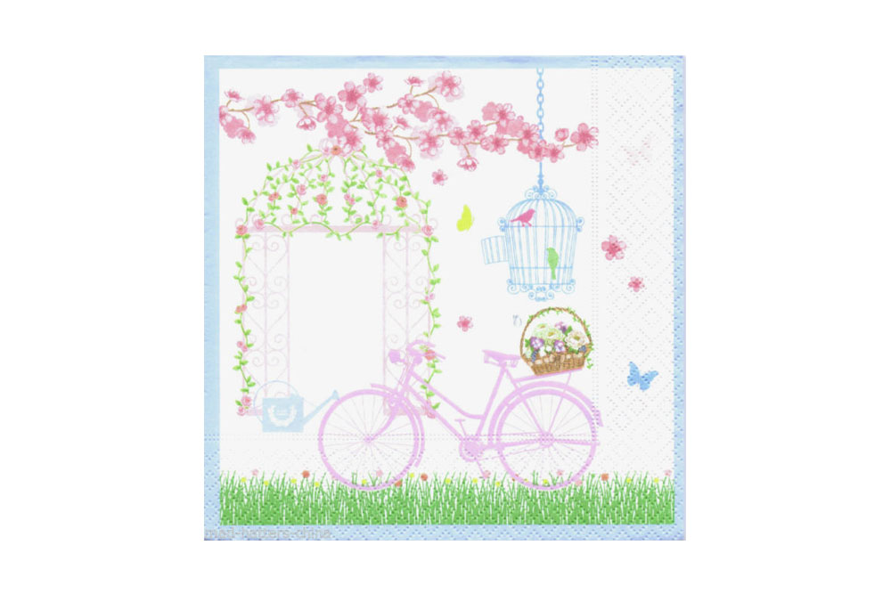 Springtime Bicycle Napkins