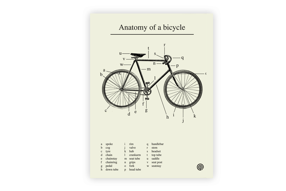 Anatomy of a Bicycle Cycling Print by Anthony Oram