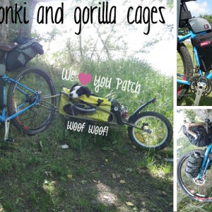 Mathias's monki and gorilla cages