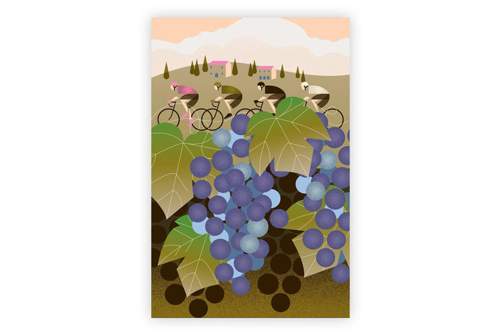 Giro D’Italia: Vineyard Cycling Print by Eleanor Grosch