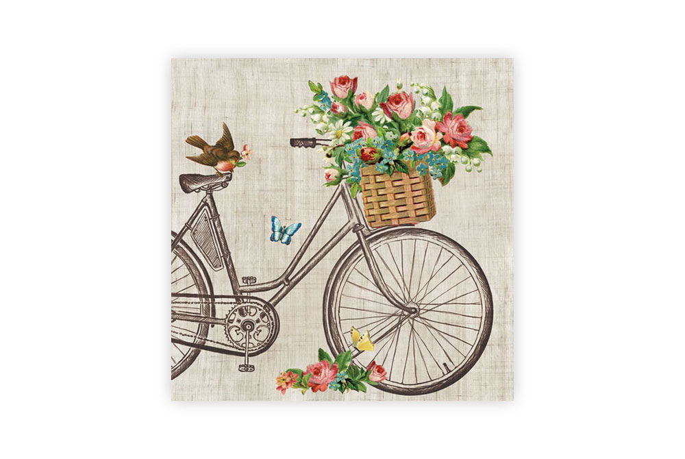 Robin on a Bicycle Napkins