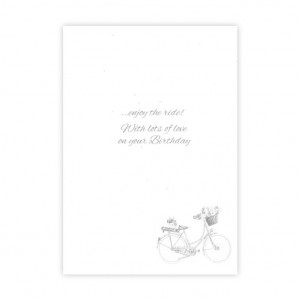 Wonderful Sister Bicycle Birthday Card