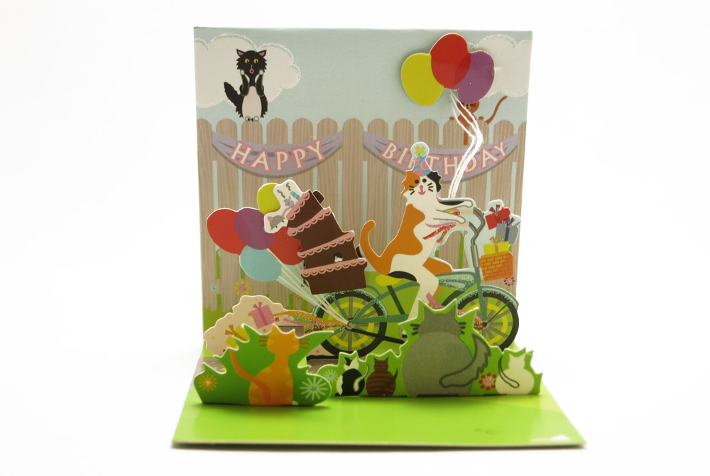 Mini Cat on a Bicycle Pop Up Greeting Card