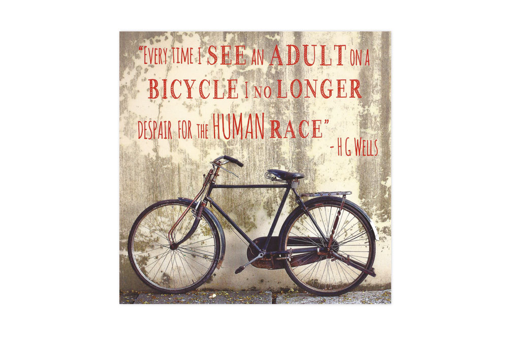 I no longer despair for the human race Bicycle Greeting Card