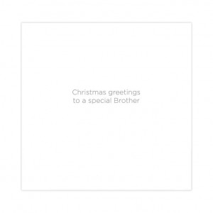 Brother Bicycle Christmas Card
