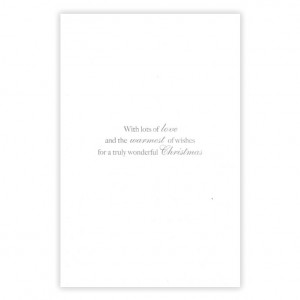 Granddaughter Bicycle Christmas Card