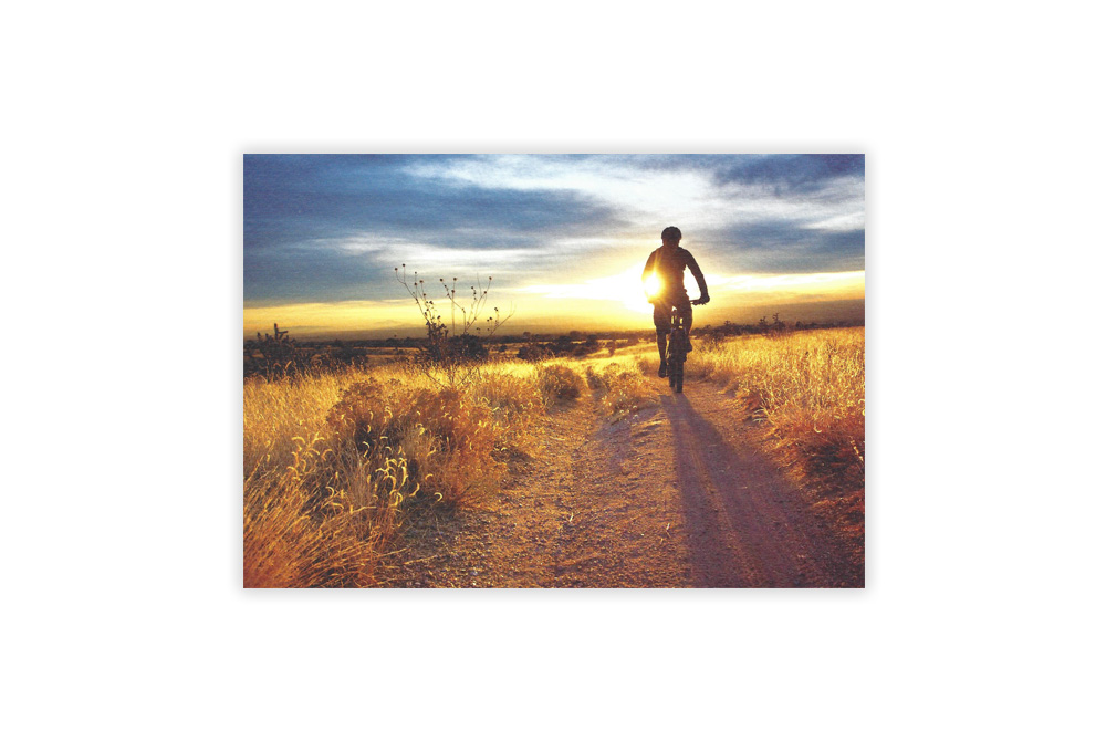 Sunset Rider Bicycle Greeting Card