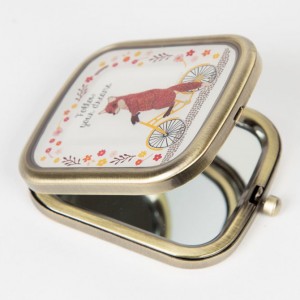 Fox on a Bicycle Compact Mirror