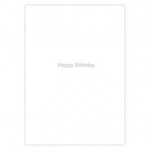 Lovely Wife Tandem Birthday Card