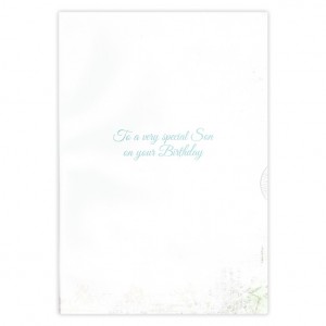 Vintage Wonderful Son Bicycle Birthday Card