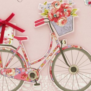 Especially for You Bicycle Birthday Card