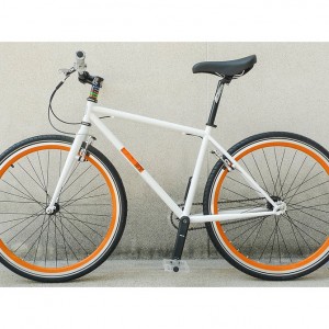 d.o.m. Professional Hardcourt Polo Bike