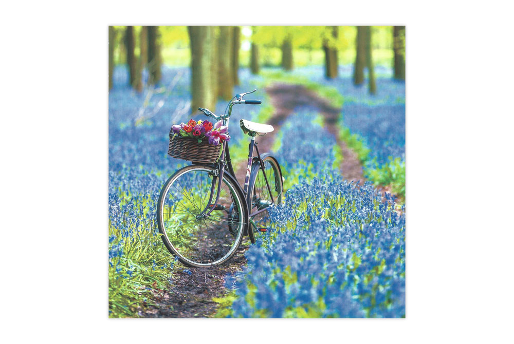 Bluebells Bicycle Greeting Card