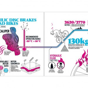 Infographic Guide to Cycling