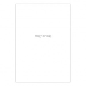 Cambridge Bicycle Birthday Card