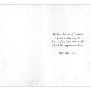 Special Sister Christmas Bicycle Card