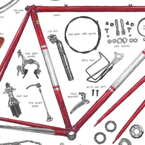 Anatomy of a Bike Print by David Sparshott