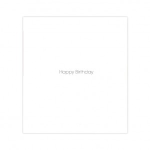 Swan Lake Bicycle Birthday Card