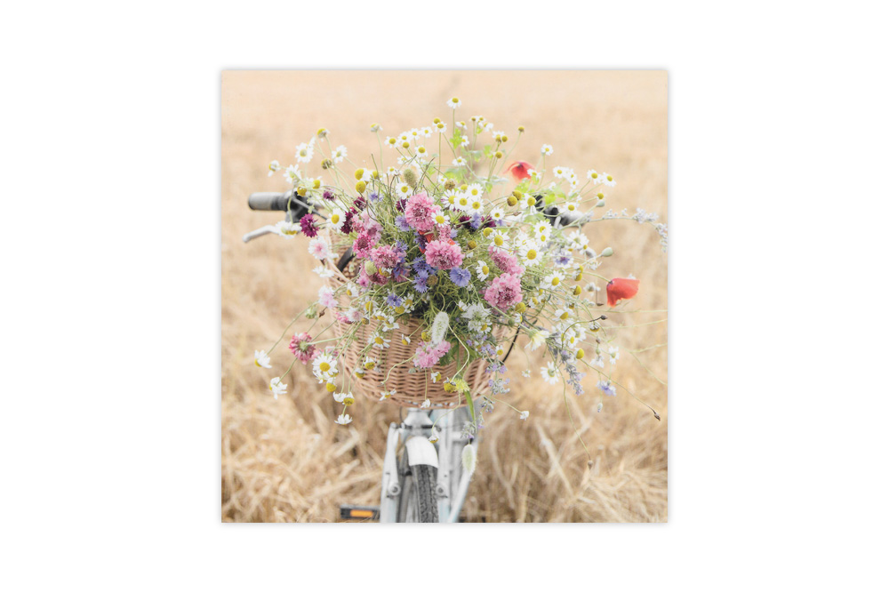 Bicycle Basket of Wild Flowers Bicycle Greeting Card