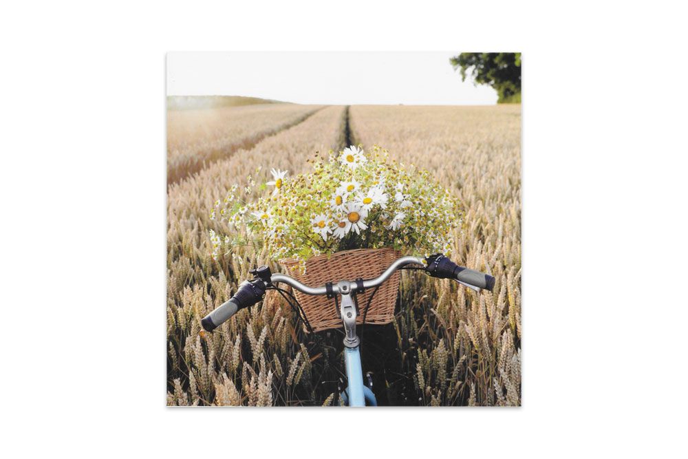 Basket of Cornflowers Bicycle Birthday Card