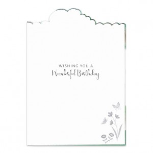 Great Granddaughter Bicycle Birthday Card