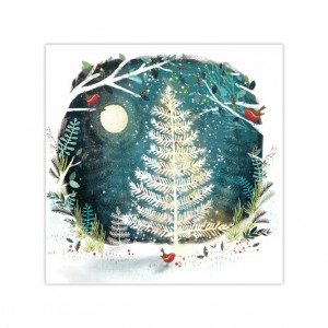 Bicycle, Christmas Tree and Santa Christmas Cards x 27