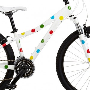 Bicycle Paint Job Stickers – Dots